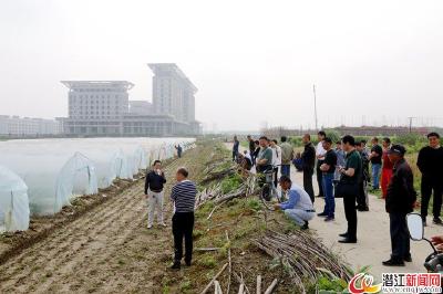 周矶管理区：田间课堂助力乡村振兴