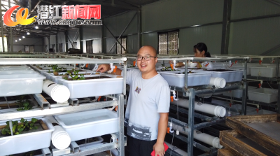 视频 | 黄鳝“育苗高手”带领乡亲喜奔致富路