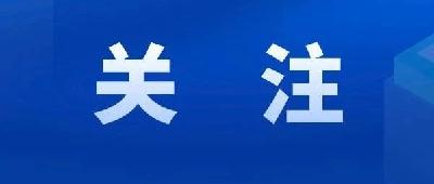 市领导调研民宿认定工作