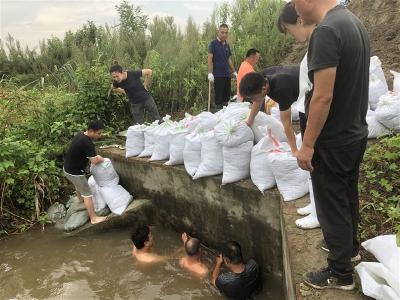 园林街道袁桥社区：堵涵洞缺口 保在田作物