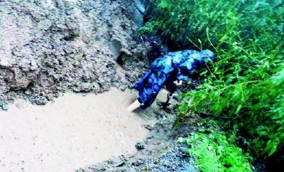 狂风暴雨中，文保人舍命护国宝无恙 罕见强降雨突袭下的河南文物保卫战