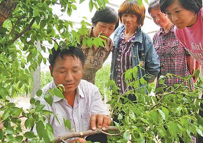 拿专项补贴、获技术支持、享贷款帮助——咱是有职称的新农民