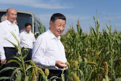 察夏粮、看秋粮，总书记今年考察中为何两次实地察看粮食长势