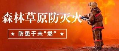 李克强对森林草原防灭火工作作出重要批示