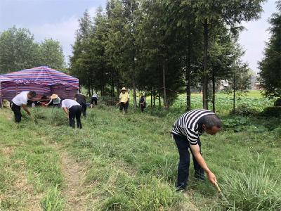 园林街道：打好防汛组合拳 筑牢防汛安全网