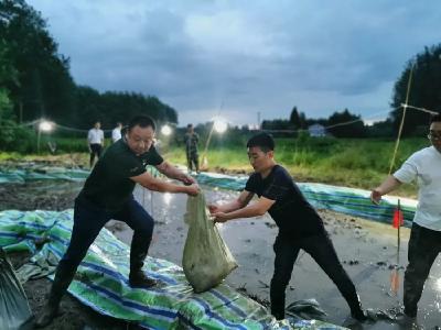 熊口镇百余名干群合力战管涌