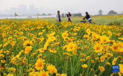 人人都说沂蒙山好，究竟好在哪？——聆听沂蒙山小调看今昔