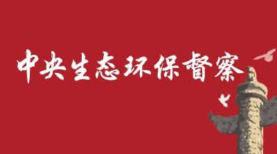 市领导督办中央生态环保督察交办信访件整改工作