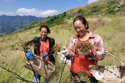 遵义:跨过雄关漫道 迈向高质量发展新征程