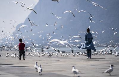 全球连线丨中国说：保护物种，其实是拯救人类自己 