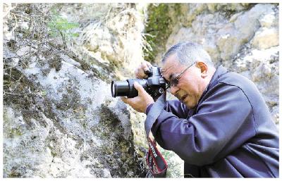 给植物拍“证件照”，祁连山“巡逻兵”18年成就两本“真经” 