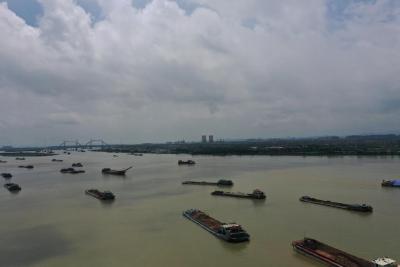 广东部分出海水道出现一条条“黄泥带”，非法洗砂洗泥为何屡禁不绝？ 