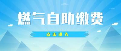 24小时自助缴费助力燃气“随时充”