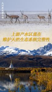 创意海报｜大河奔流看今朝 