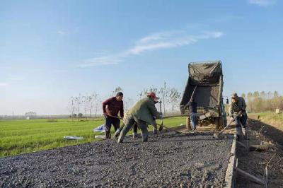 园林街道梅咀社区：脱贫致富路修到田间地头