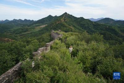 新华全媒头条｜保护长城，一场文物与时间的赛跑