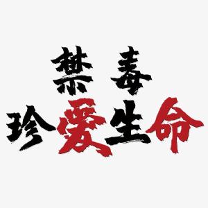 高石碑镇开展禁毒宣传进课堂活动