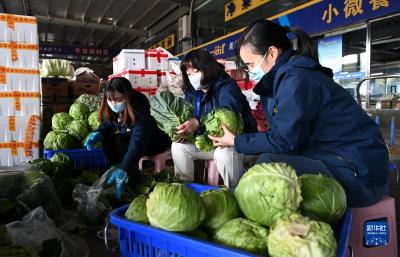 疫情来袭 “菜篮子”拎得稳吗？——探访西安蔬菜供应基地