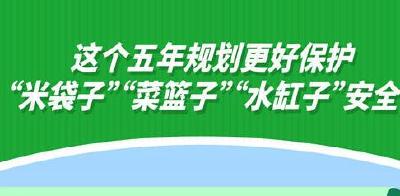 这个五年规划更好保护“米袋子”“菜篮子”“水缸子”安全