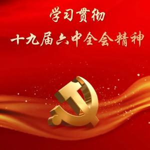 市招商服务中心学习贯彻党的十九届六中全会精神