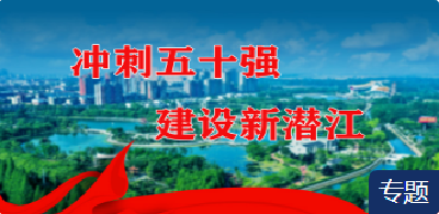 冲刺五十强 建设新潜江|对标新使命 启航新征程——访王场镇党委书记李斌 