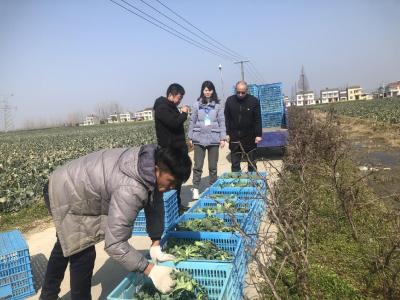 总口管理区纪委：以精准监督护航春耕备耕