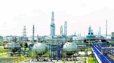 金澳科技：聚力项目建设 跑好虎年“第一棒”