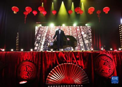 音乐会、舞狮、棒球赛　多国精彩纷呈贺中国新春
