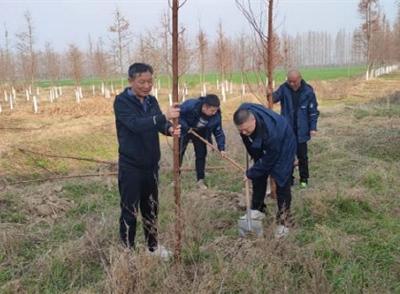 义务植树添新绿 共建美丽新家园