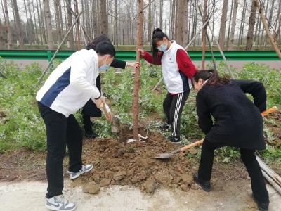 潜江开展“喜迎二十大•共植青年林”义务植树活动