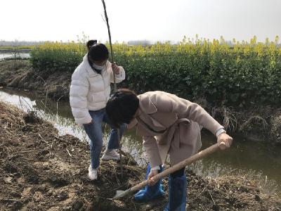 周矶街道开展植树造林活动