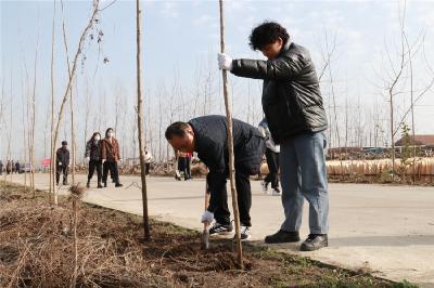 广华寺街道开展春季义务植树活动