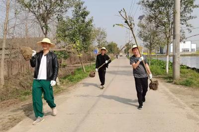 义务植树添新绿 不负春日好时光