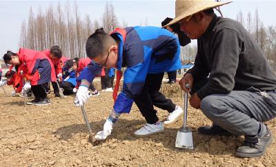 园林五小开展新时代劳动教育实践体验活动