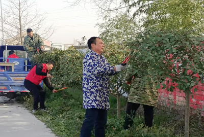 泽口街道：美丽乡村共绘共享