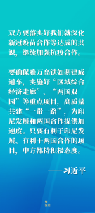 今年再度通话，习主席和印尼总统佐科谈到这些