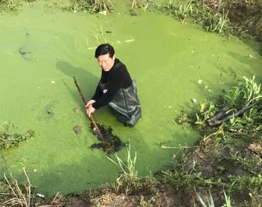 园林街道紫月社区：及时排涝挽果农损失