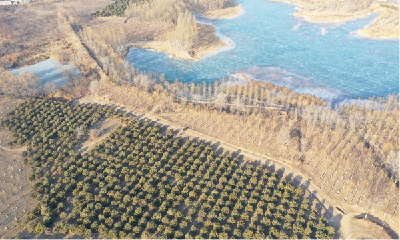 国际森林日丨城市森林公园建设：不负生态修复 不负城市春光
