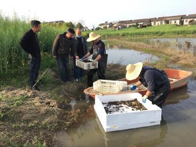 白鹭湖管理区纪委：做实一线监督 助力春耕生产