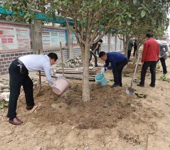 总口管理区开展全民义务植树活动