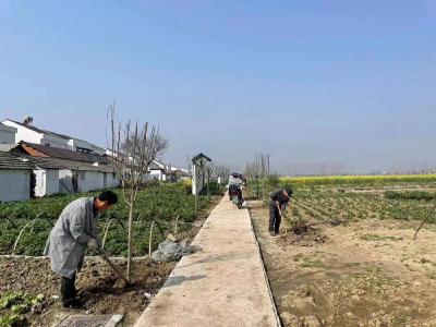 龙湾镇：加强人居环境整治 筑牢乡村振兴根基