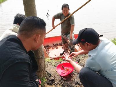 送技下乡助农忙