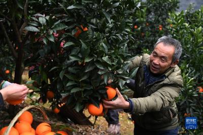 奋进新征程 建功新时代·伟大变革丨“出山天路”新气象，青春作伴好还乡