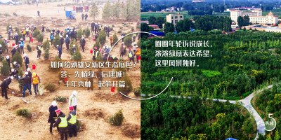 五年·见证雄安丨来，带你见证雄安不凡成就！ 