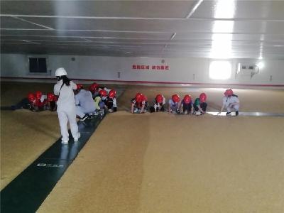 青少年走进中储粮 感受“大国粮仓”风采