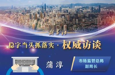 稳字当头抓落实·权威访谈丨保市场主体“青山常在” 促超大市场平稳运行——访市场监管总局副局长蒲淳