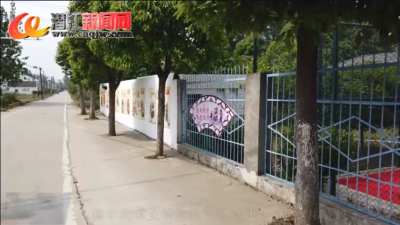 杨市街道金银河村：盘活土地资源 拓宽致富之路