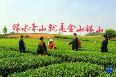 奋进新征程 建功新时代·伟大变革丨“治未病”“治已病”“防复发”——解码成都“诉源治理”