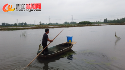 小龙虾“爬”出致富路