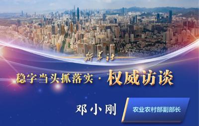 稳住“中国粮” 夯实压舱石——农业农村部副部长邓小刚谈“三农”热点话题